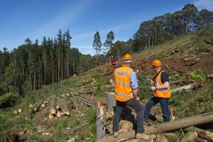 Construction & Builders Warranty