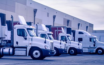 Motor Vehicle Insurance