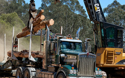 Unregistered Plant & Machinery Insurance