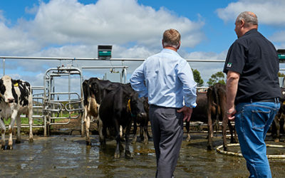 Business Interruption Insurance