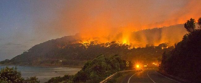Insurance Paving the Road to Bushfire Recovery