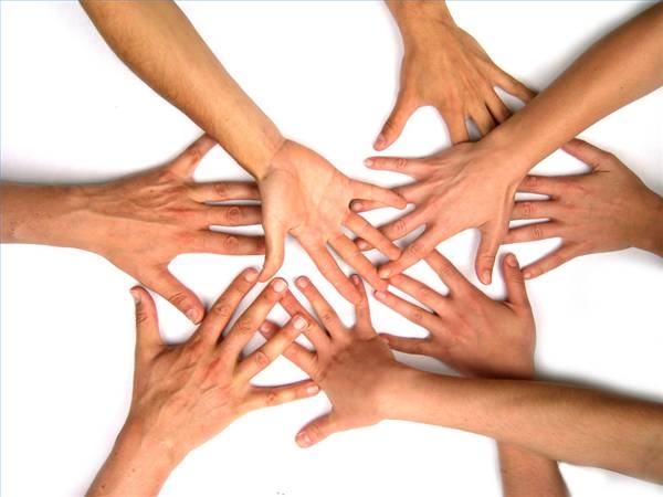 Not for Profit Entities – the Risks YOU Face!