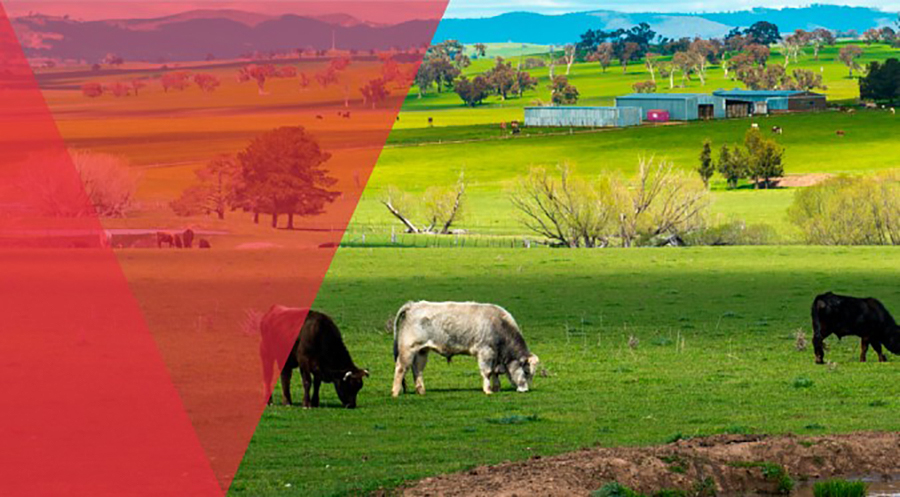 ADROIT PROCTOR INSURANCE & RISK