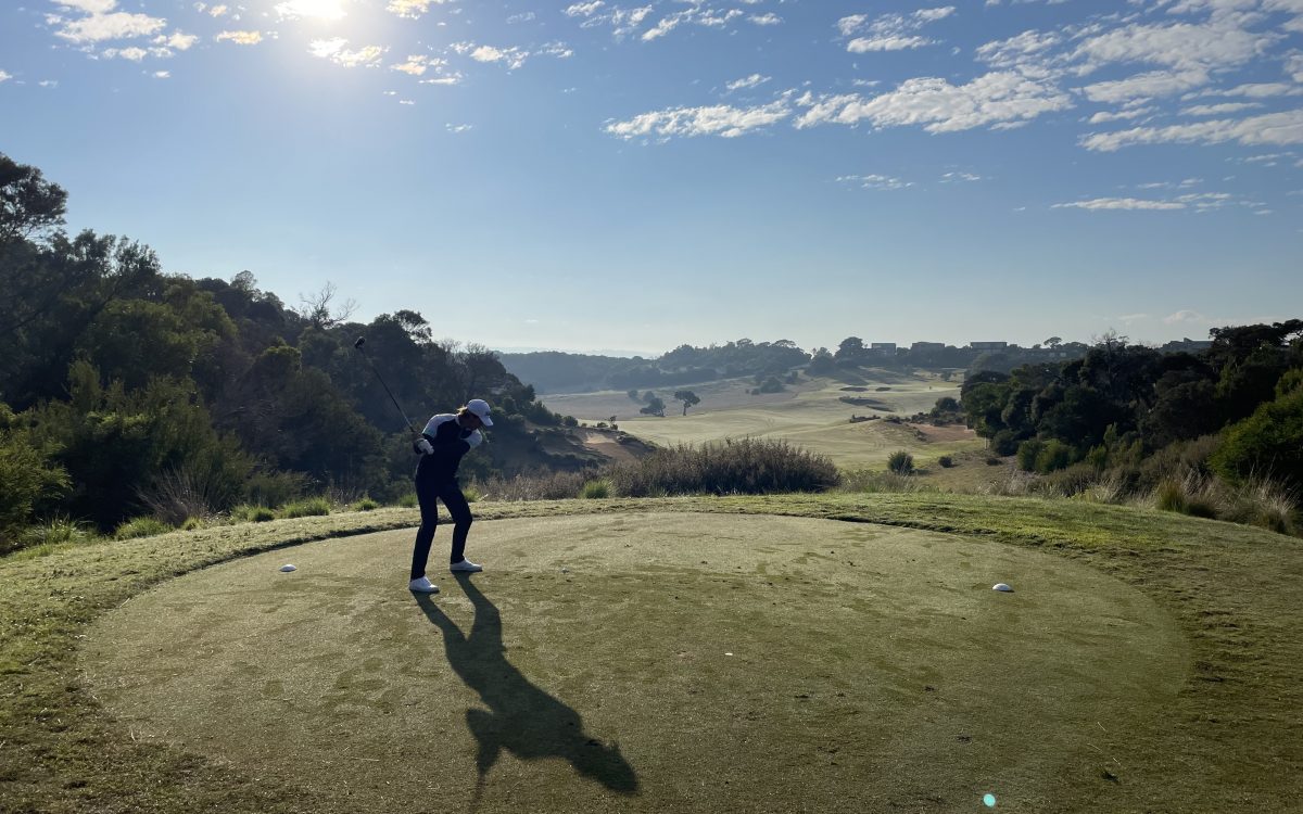 Adroit Insurance and Risk Community Update